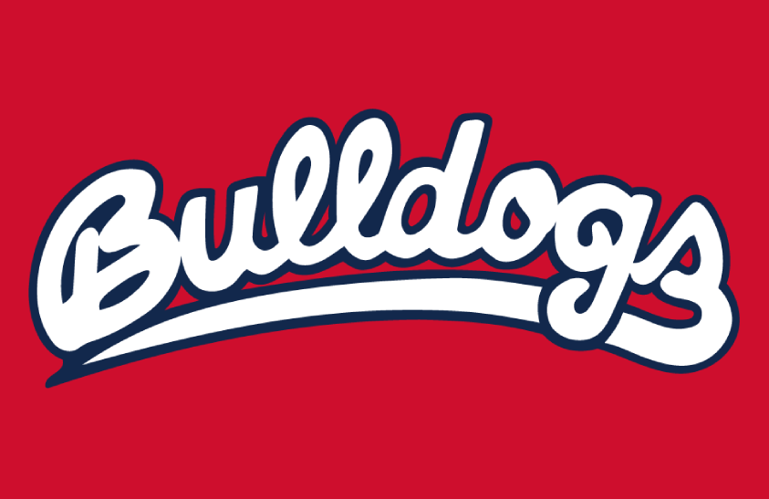 Fresno State Bulldogs 2013 Helmet Logo diy iron on heat transfer